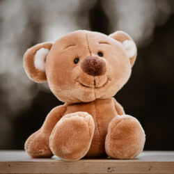 Teddy Bear - Origin image