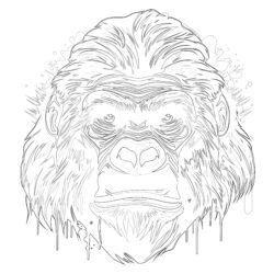 Gorilla - Printable Coloring page