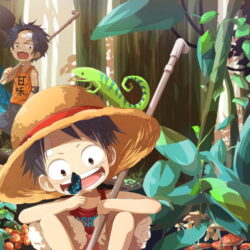 Anime Monkey D. Luffy - Origin image