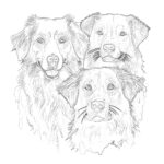 Adult Dogs Coloring Page