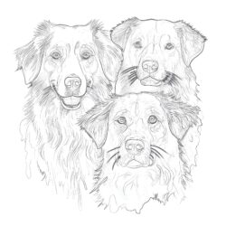 Adult Dogs - Printable Coloring page