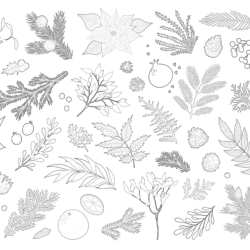 Christmas Plant And Floral - Printable Coloring page
