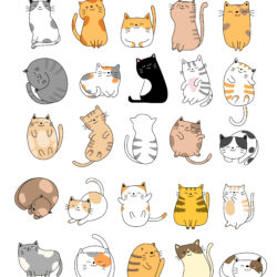Different Cats - Origin image