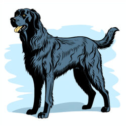 Schwarzer Hund Ausmalbilder - Ursprüngliches Bild