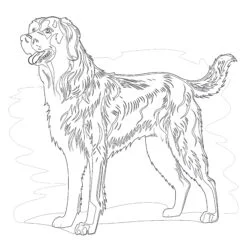 Chien Noir Page à Colorier - Page de coloriage imprimable