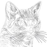 Page de Coloriage Pop-Art Sur le Chat