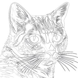 Cat Pop-Art - Printable Coloring page