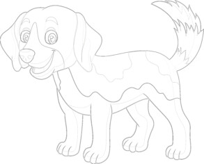 Beagle Dog - Coloring page