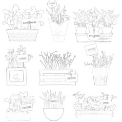 Microgreen Set - Printable Coloring page