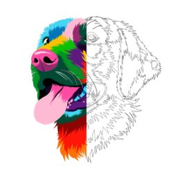 dogs