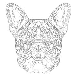 Bulldog Francés Página Para Colorear - Página para colorear