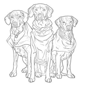 Funny Dogs Coloring Page