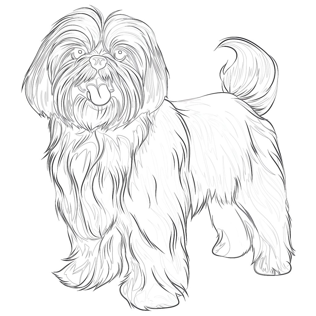 Chow Chow Coloring Pages | Coloring Pages Mimi Panda