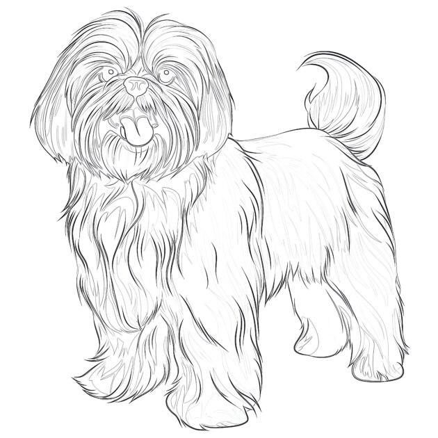 Shih Tzu Coloring Page | Coloring Pages Mimi Panda