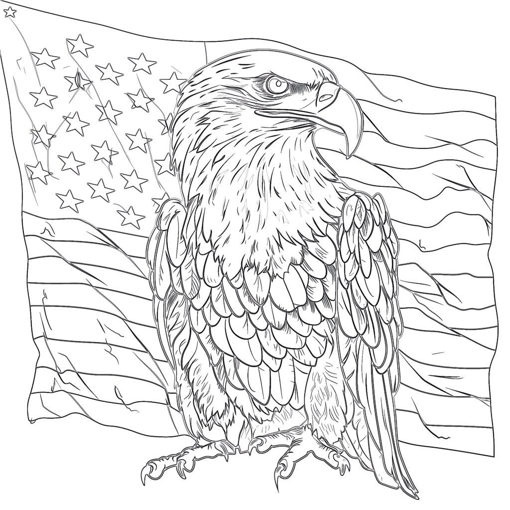 Eagle Patriotic Coloring Pages Drawing Bald American Drawings Flag 