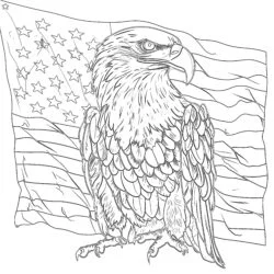American Eagle Hold The USA Flag - Printable Coloring page