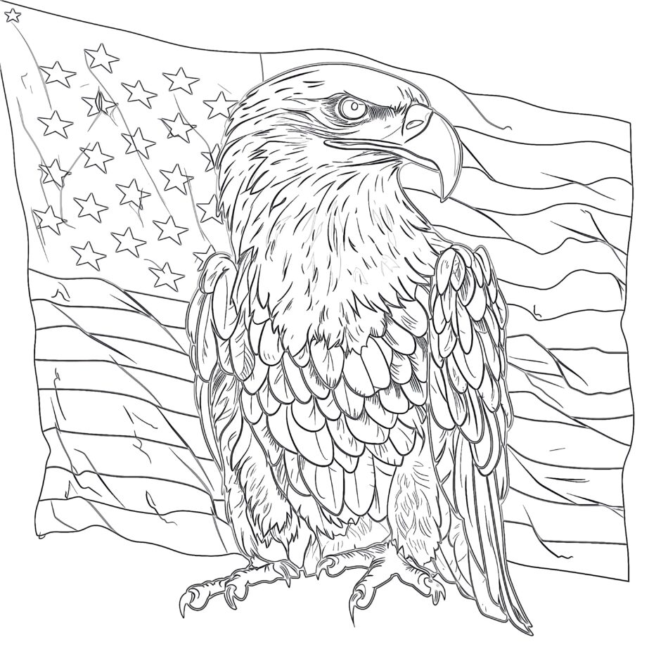 American Eagle Hold The USA Flag Coloring Page