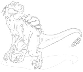 Velociraptor Dinosaur - Coloring page