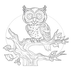 Owl On Tree - Printable Coloring page