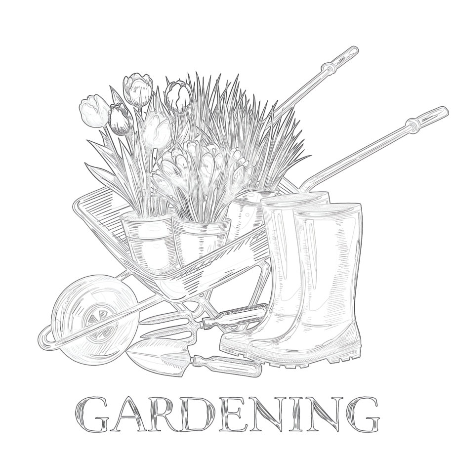 Gardening Sketch - Coloring page