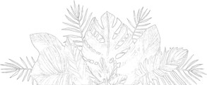 Tropical Leaves - Coloring page