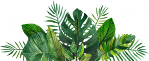 Tropical Leaves - Original image
