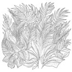 Tropical Leaves Coloring Page