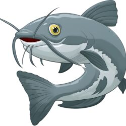 Catfish Cute Cartoon - Origin image