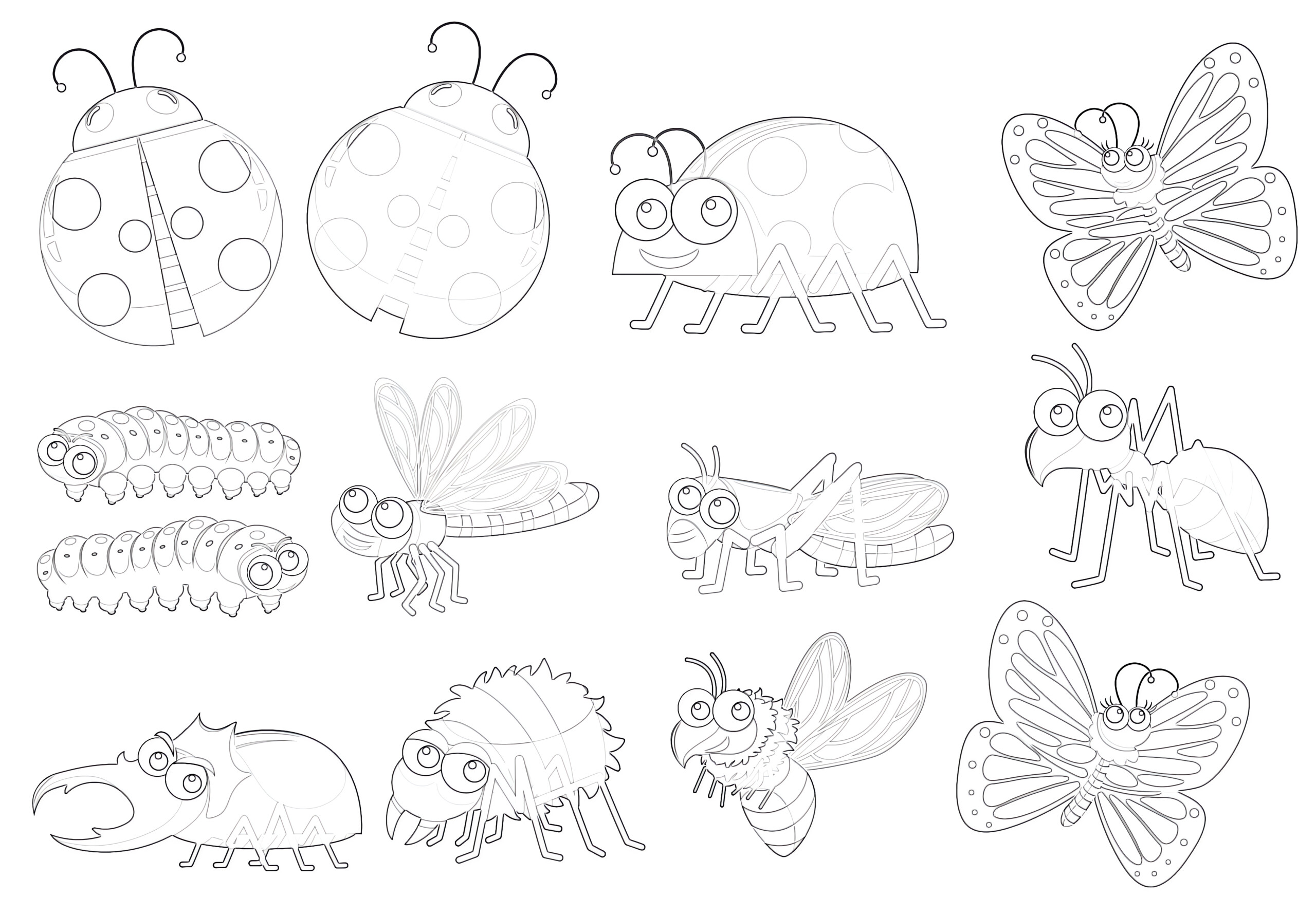 A Set Of Insect - Coloring page