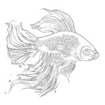 Fighting Fish Coloring Page