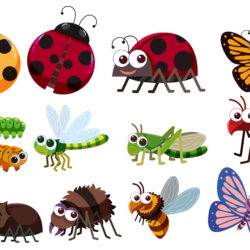 School Planner With Insects Characters - Origin image