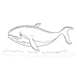 Cartoon de ballena - Página para colorear