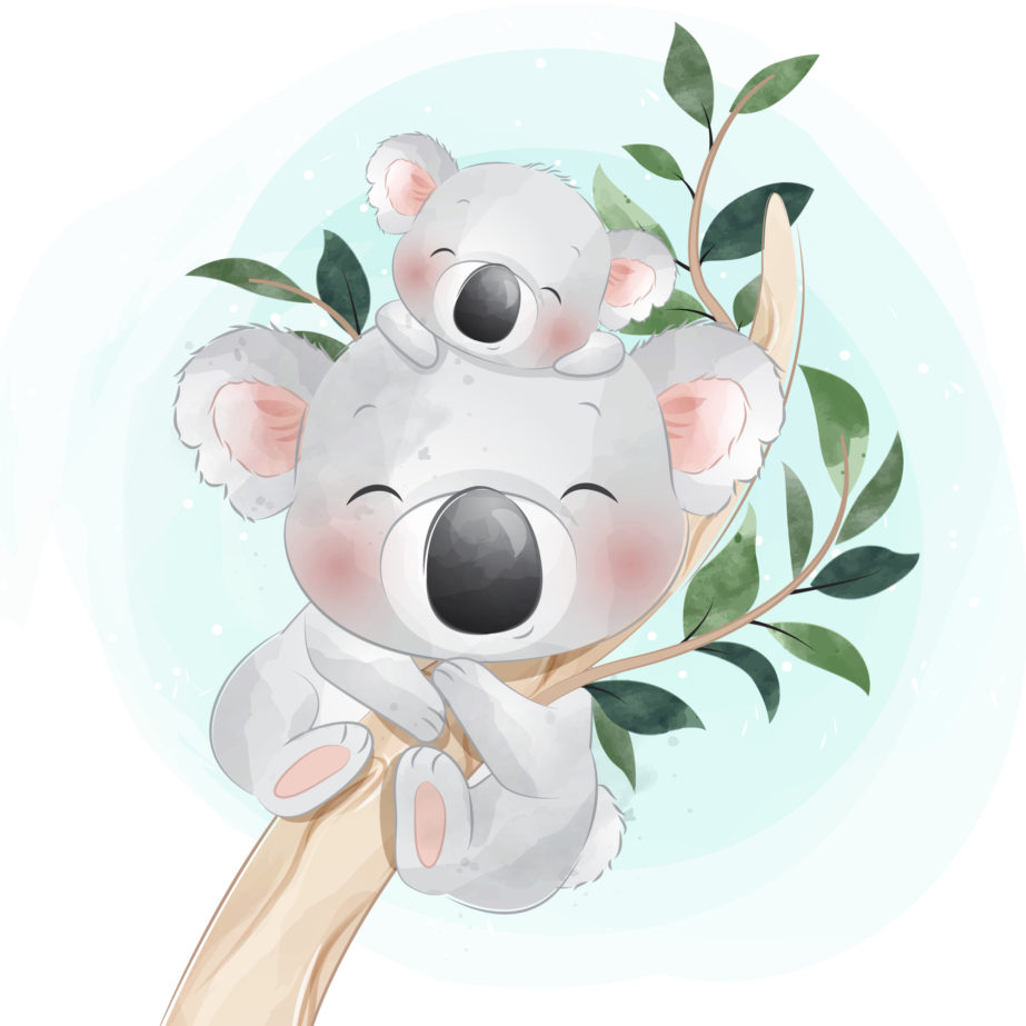 Cute Little Koala - Original image