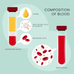 Doctor And Blood Sampling - Origin image