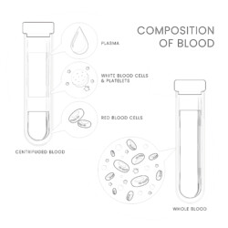 Blood Concept - Printable Coloring page