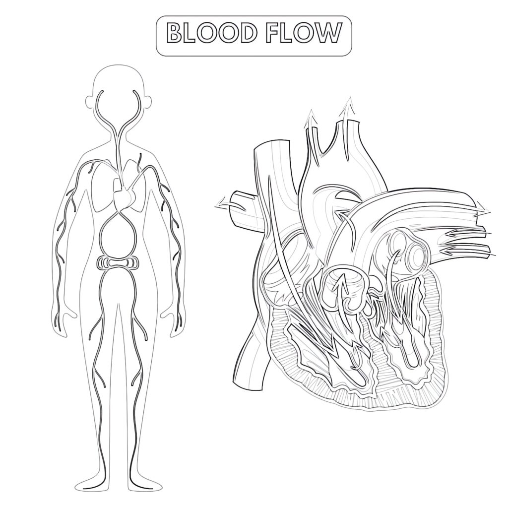 Structure Of The Lungs Coloring Pages Mimi Panda wednesday-september-4-2024-evening-worship-by-central-church-of