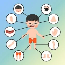 Body Structure Boy - Origin image