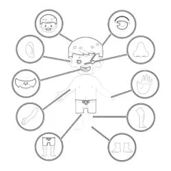 Body Structure Boy - Printable Coloring page