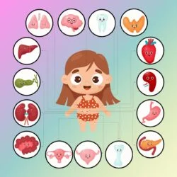 Body Structure Girl - Origin image