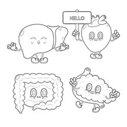 Cute Human Organs Coloring Page - Printable Coloring page