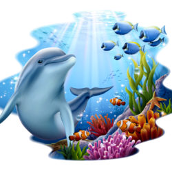 Underwater Animals And Rainbow - Origin image