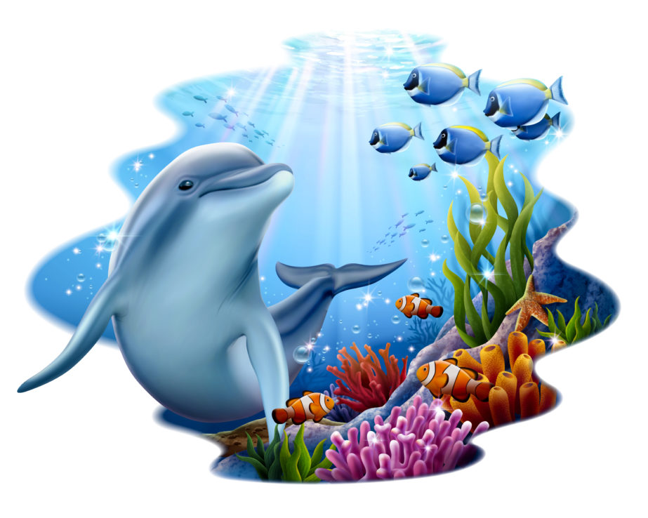 Dolphin And Coral Reef - Original image