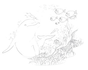 Dolphin And Coral Reef - Coloring page