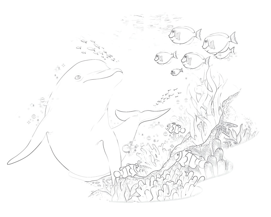 Dolphin And Coral Reef - Coloring page