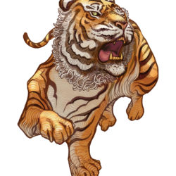 Vintage Tiger - Origin image