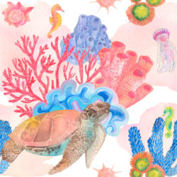 Turtle And Corals - Origin image