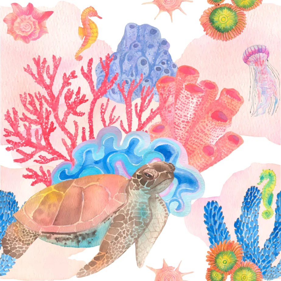 Turtle And Corals - Original image