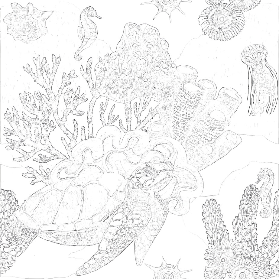 Turtle And Corals - Coloring page
