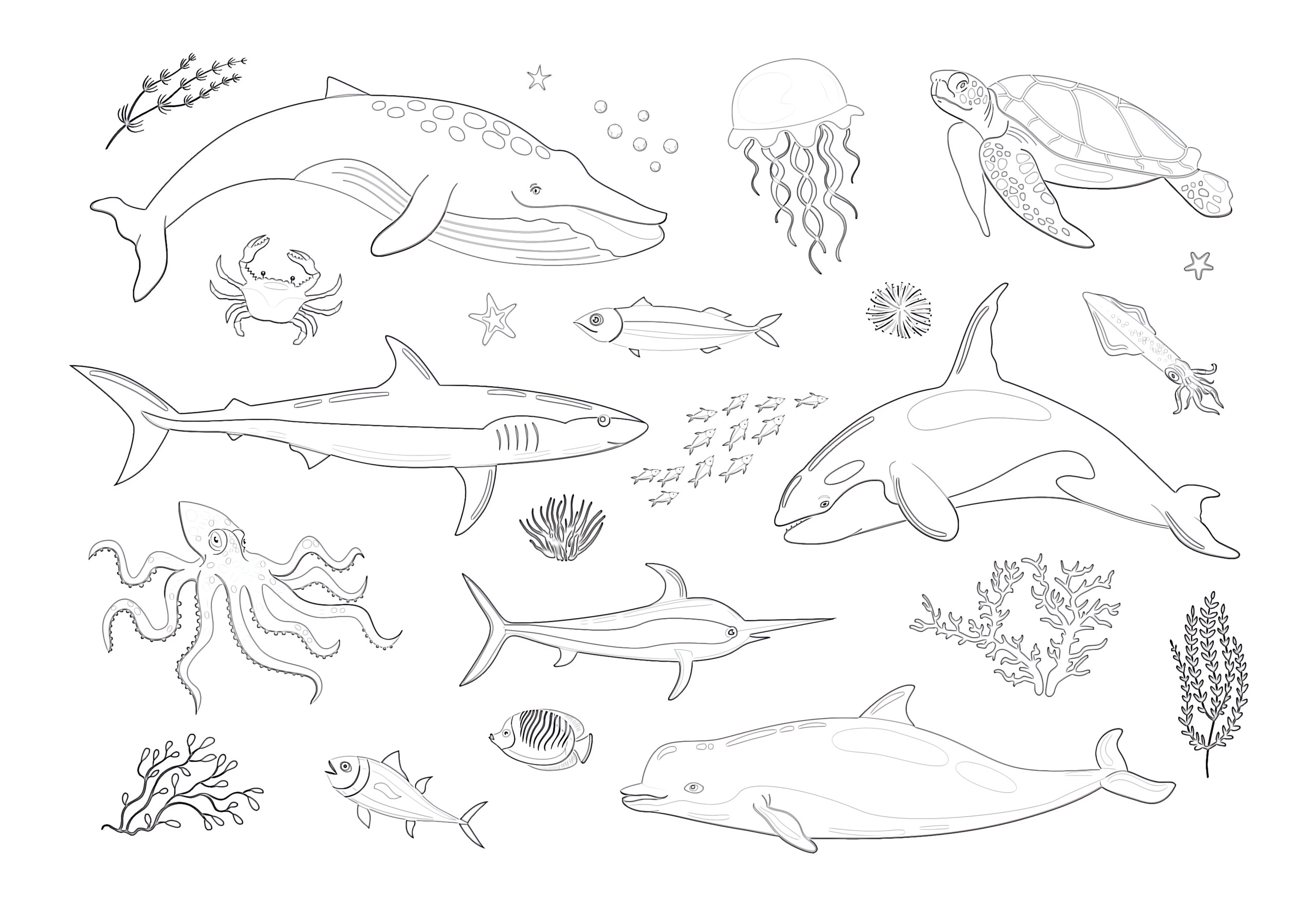 Sea Life Coloring Page