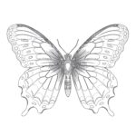 Vintage Beautiful Butterfly Coloring Page